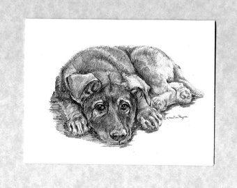German Shepherd Dog  puppy; 6 cards 6 envelopes; direct from artist, reprint from my original graphite drawing