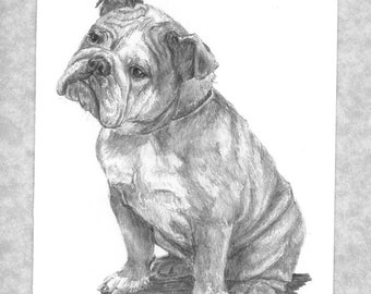bulldog pup note cards, set of 6 with envelopes; direct from artist, prints from my original grapite art