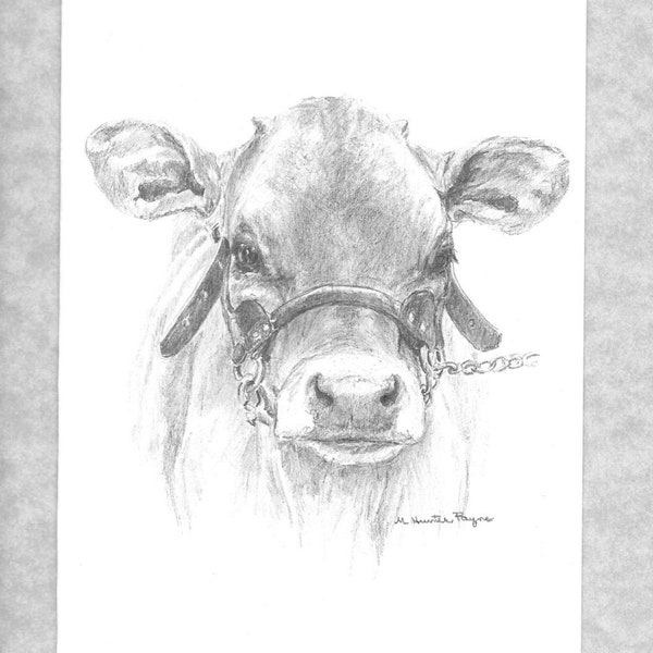 Jersey cow (heifer) note cards, fine art, set of 6 with envelopes; direct from artist; prints of my original art