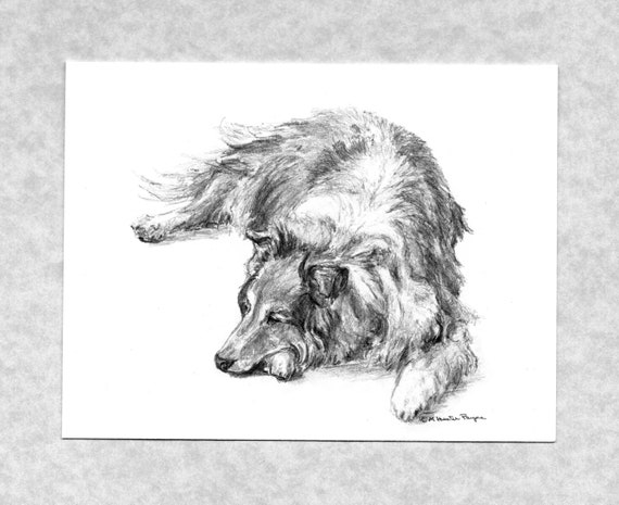Sheltie note cards; beautiful sheltie waiting for family; 6 cards 6 envelopes; print of my art, direct from artist; 110 lb cardstock
