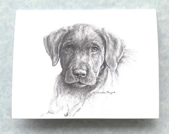 Chocolate Lab puppy, fine art note cards, set of 6; prints from my original art, direcct from artist