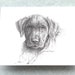 see more listings in the dog note cards section