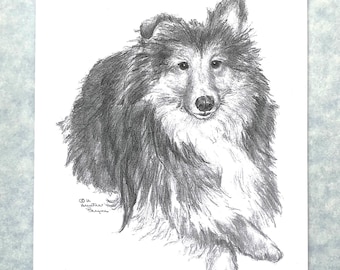 Sheltie notecards , 6, with envelopes; direct from artist; original pencil art done by me