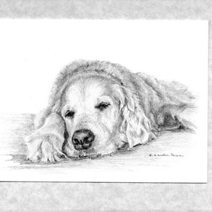 Golden Retriever note cards (6) with envelopes; old retriever waiting for her family; direct from artist