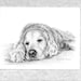 see more listings in the dog note cards section