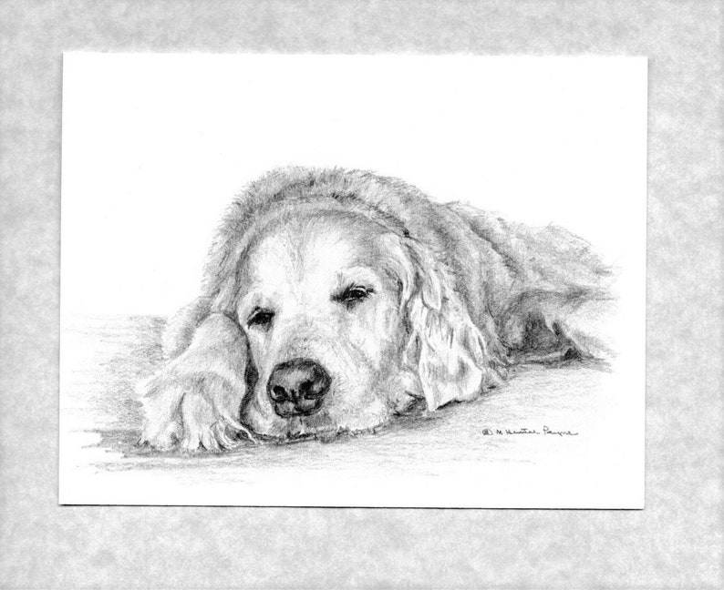 Golden Retriever note cards 6 with envelopes old retriever waiting for her family direct from artist image 1