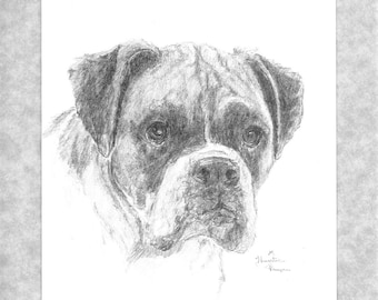 Boxer head drawing, six note cards and six envelopes; print of my original art