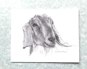 Nubian goat note card; 6 goat note cards plus envelopes; reproduced from my original graphite drawing, direct from artist