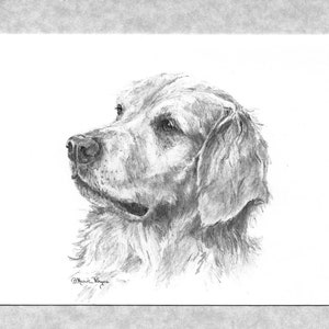 Golden Retriever note cards, inside blank; set of 6 w/envelope; reprint of my art, direct from artist.  Seven year old retriever.