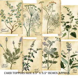 card Toppers Herbs, Set of 9, Scrapbooking, Herbs journaling. Herb cardMaking, Sage, lavender, Fennel card toppers, Herbs,Ephemeral Toppers