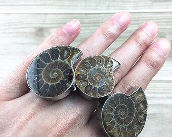 Ammonite Fossil Silver Statement Ring Handmade Size 8.5