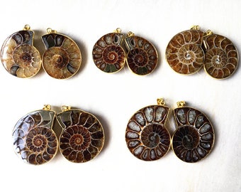 Natural Matching Pair Ammonite Pendant - Real Fossilized Ammonite Pendant with Electroplated Gold cap and bail (S81U21_7)