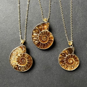 Gold Natural Ammonite Necklace - Real Fossilized Ammonite Pendant with Electroplated in Gold cap and bail (S81U21_9)