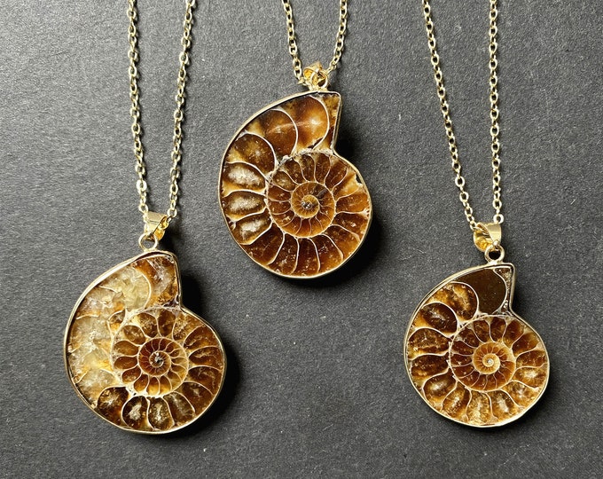 Gold Natural Ammonite Necklace - Real Fossilized Ammonite Pendant with Electroplated in Gold cap and bail (S81U21_9)