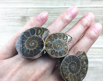 Ammonite Ring // Ammonite Fossil Rings // Ammonite Gemstone Rings // Genuine Fossil // Ammonite Silver // Adjustable rings