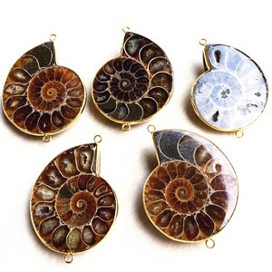 Large Natural Ammonite Charm Connector Pendant - Real Fossilized Ammonite Double Bail with Electroplated Gold (S81U21_18)