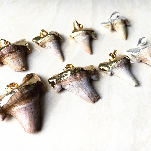 Real Shark Tooth pendant Charm in electroplated 24k gold, Silver Plated Small Shark Tooth Pendant Necklace