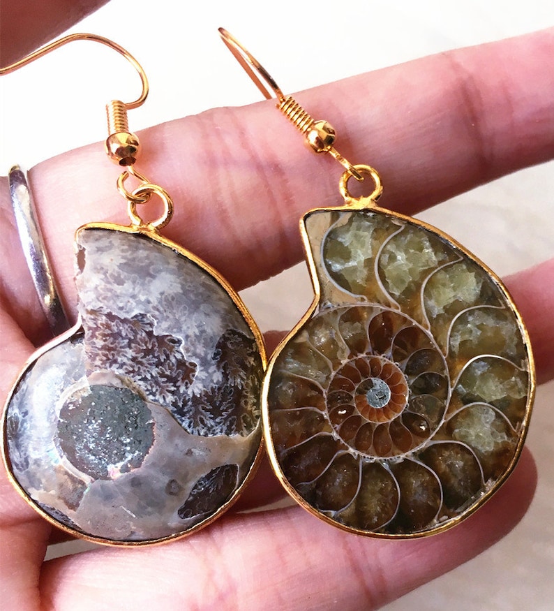 Ammonite Charm Bracelet