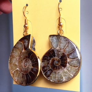 Natural Ammonite Charm Earring - Real Fossilized Ammonite Dangle Earring - Silver or gold plated (S81U21_11)