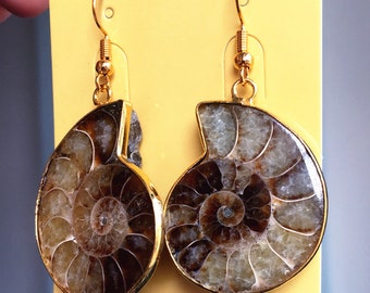 Natural Ammonite Charm Earring - Real Fossilized Ammonite Dangle Earring - Silver or gold plated (S81U21_11)