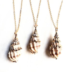 SALE Natural Beautiful Sea Shell Pendant - Brown Beige Conch Shells Beach Shell Pendant Necklace Electroplated in Gold (S81U21_25)