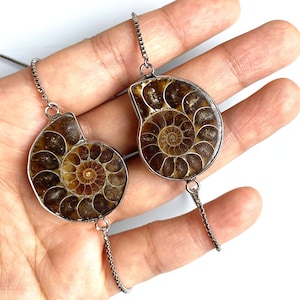 May include: A silver chain necklace with two brown ammonite fossil pendants. The fossils are detailed and have a spiral pattern.