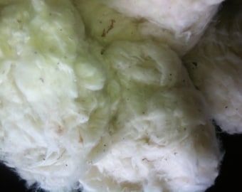 Greek GINNED COTTON 0.7 (kg) 700grams. For every 700grams FREE more 200grams