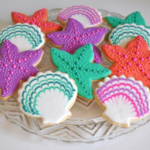 Summertime Seashell Collection