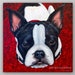Realistic Pet Portrait Hand Painted Custom Dog Painting on Canvas from Photo - Cat or Dog Gift - custom portrait of your pet 