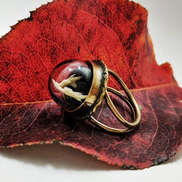Real Mouse Jaw in Glass Globe Ring, ethical animal bone jewelry, oddities & curiosities, wearable taxidermy art, Valentines gift for witch