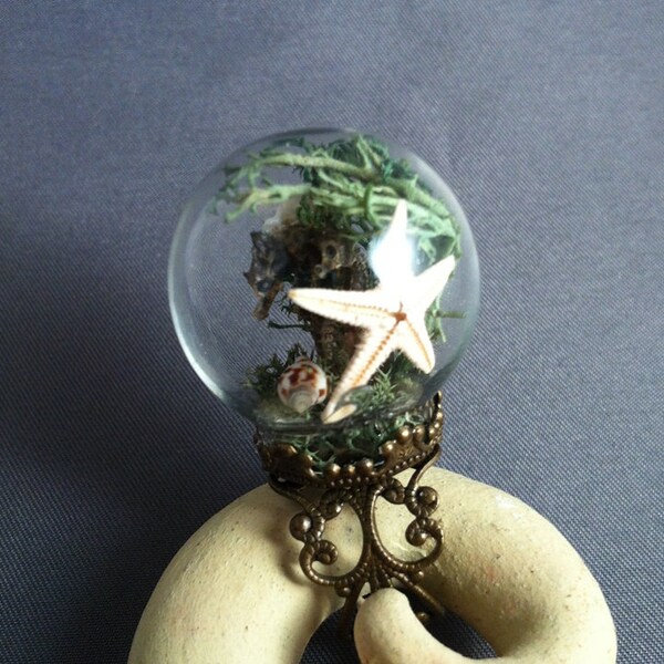 The Lovers. Real seahorses, starfish, and seashells in a reliquary bubble globe ring