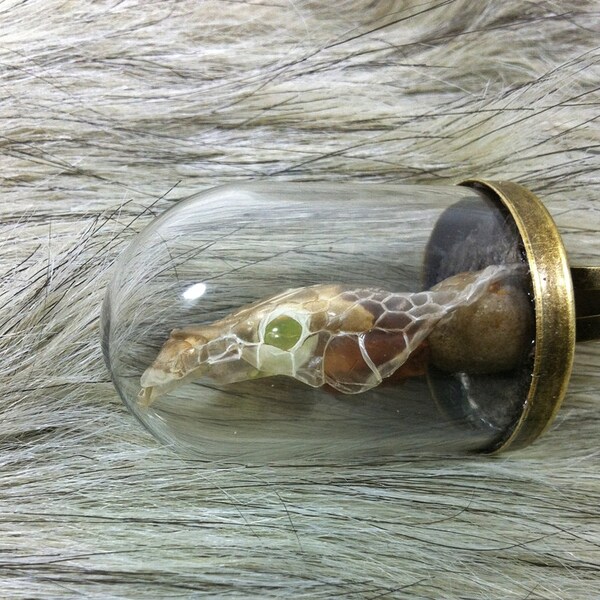 Re-animated Snake Shed Ring with real python vertebra and rat skull bone