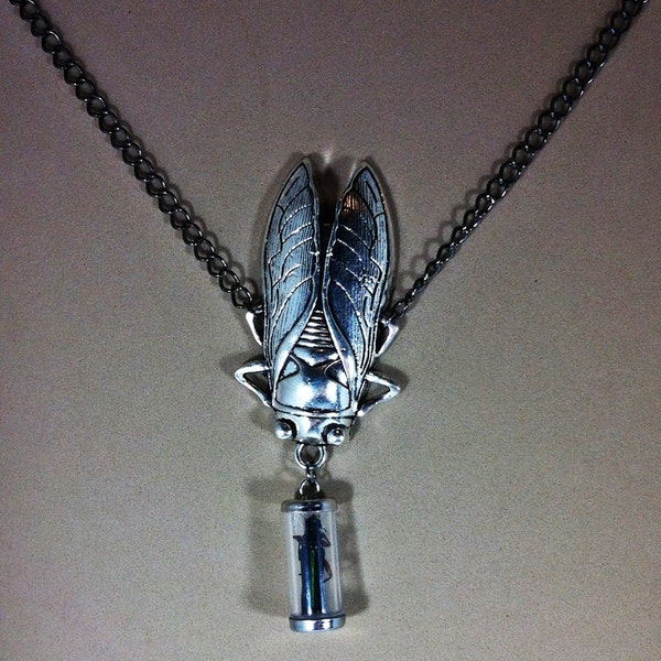 Giant Cicada Holding a Vial With Peruvian Longhorn Beetle Necklace