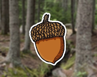 Vinyl "Acorn" Sticker: Nature, Hiking, and Forest Decal