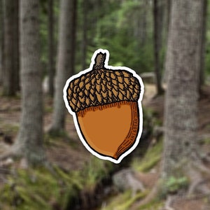 Adesivo "Acorn Nature", adesivo per bottiglia d'acqua della foresta, adesivo "Tree Lovers Adventure", adesivo in vinile del Maine, regalo per escursioni all'aperto