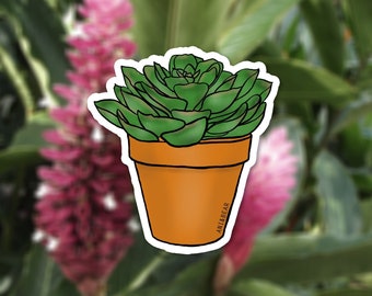 Succulent Sticker - Plant Stickers - Nature Stickers