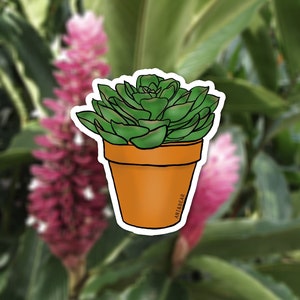 Succulent Sticker, Plant Lover Sticker, Minimalist Nature Art, Travel-Friendly Vinyl Decal