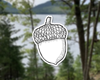 Vinyl "Acorn" Sticker: Nature, Hiking, and Forest Decal