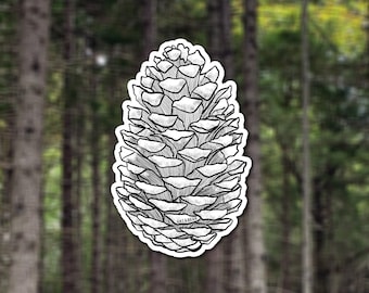 Vinyl "Pinecone" Sticker: Nature, Hiking, and Forest Decal