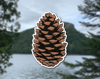 Vinyl "Pinecone" Sticker: Nature, Hiking, and Forest Decal