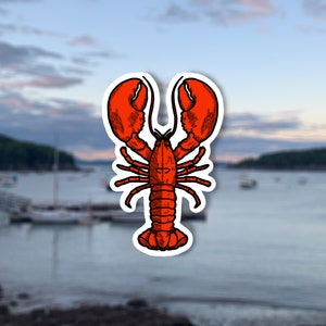 Adesivo natura aragosta, adesivo bottiglia d'acqua costiera, adesivo avventura amante degli animali, adesivo in vinile Maine, regalo per escursioni all'aperto