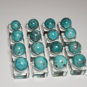 May include: A collection of 18 teal blue and green amazonite spheres displayed on clear glass bases.