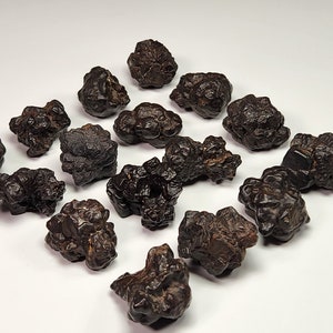 May include: A collection of 15 dark brown, irregularly shaped, rough-textured stones. The stones are arranged in a scattered pattern on a white surface.