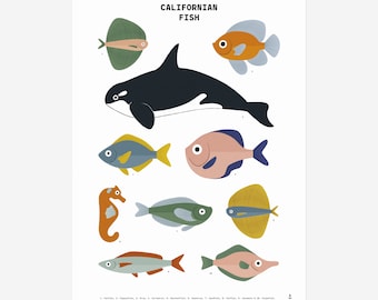 24x36 Fishes of the California Coast Poster, California Fish Poster ...