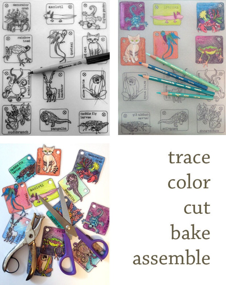 DIY Kit 12 Shrinky Dinks Animal Zipper Pull Charms for Birthday Party ...