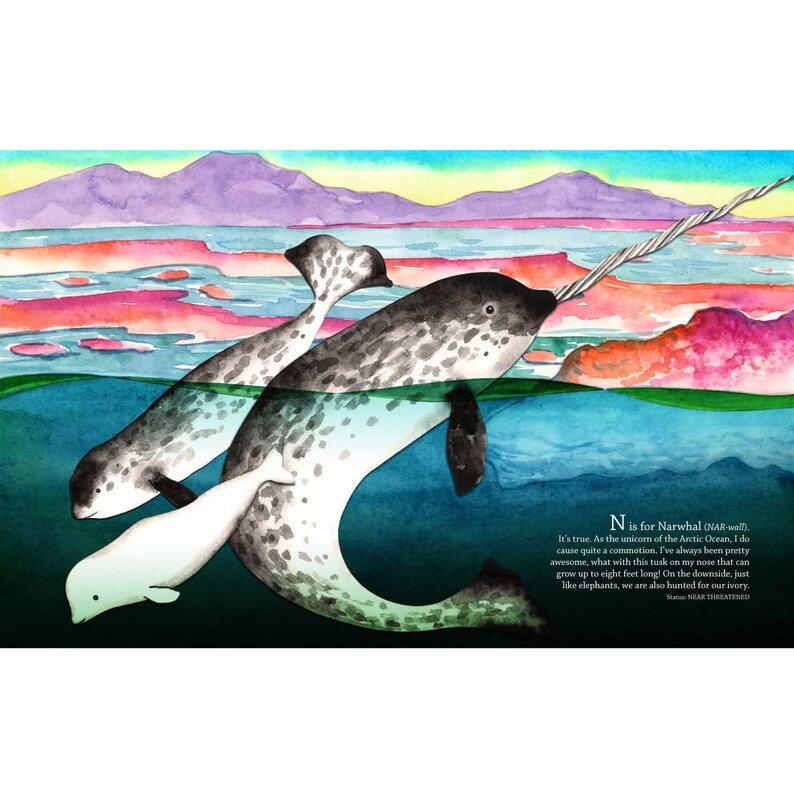 Signed Children's Book N is for Narwhal ABC of Ocean Oddities Alphabet