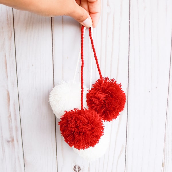 Hanging Pom Poms - DIY Tote Bag Tassel - Pom Pom Charm - Holiday Gift Bag Accessory - Matching Tote Charm - Party Favor Bag Idea (EB3483)