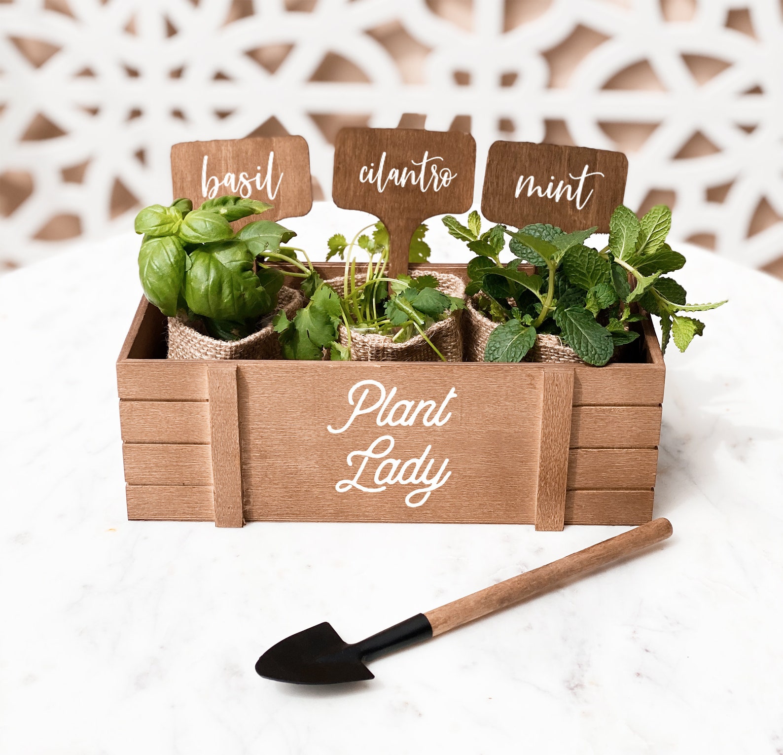 Mini Herb Garden Kits are the ideal present for any plant-loving woman! Each unique box planter includes everything she'll require.