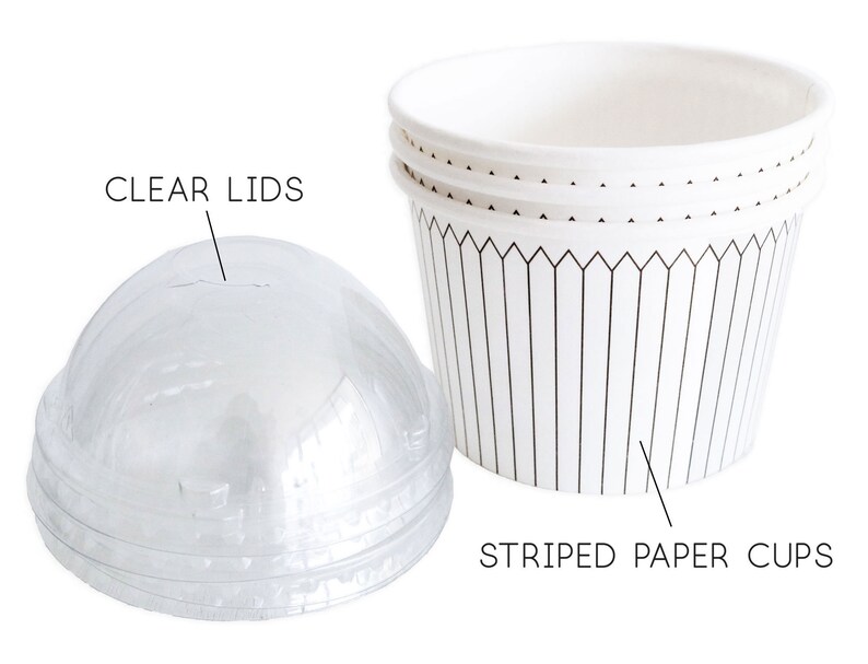 Paper Ice Cream Cups Cupcake Paper Cups With Dome Lids Etsy