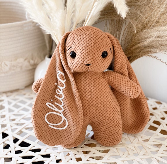 Personalized Bunny Rabbit Plush Flower Girl Proposal Gifts for Toddlers Little Girls Birthday Gift Stuffed Animal (EB3478P) Bunny Rabbit Il_570xn